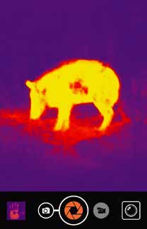 Seek Thermal CompactXR – Originale Herstelleransicht oder Wärmebildaufnahme